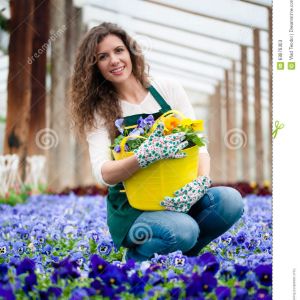 Violet Flowergarden