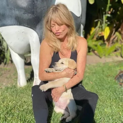 Goldie Hawn's death is making the rounds on the internet. Goldie is an actress, dancer, producer, and singer from the United States