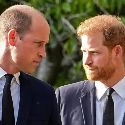 People all throughout the world are interested in Prince Harry and William's Fight. Stay with us to learn more about Prince Harry and William