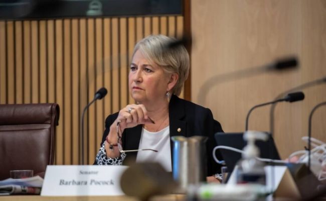 Senator Barbara Pocock continues push for government to cut down use of PricewaterhouseCoopers. (source: westernadvocate)